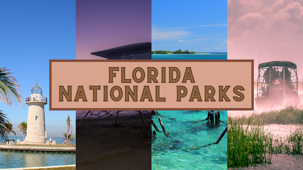 A Journey Through Florida's National Parks: Discovering the Sunshine State's Wild Side